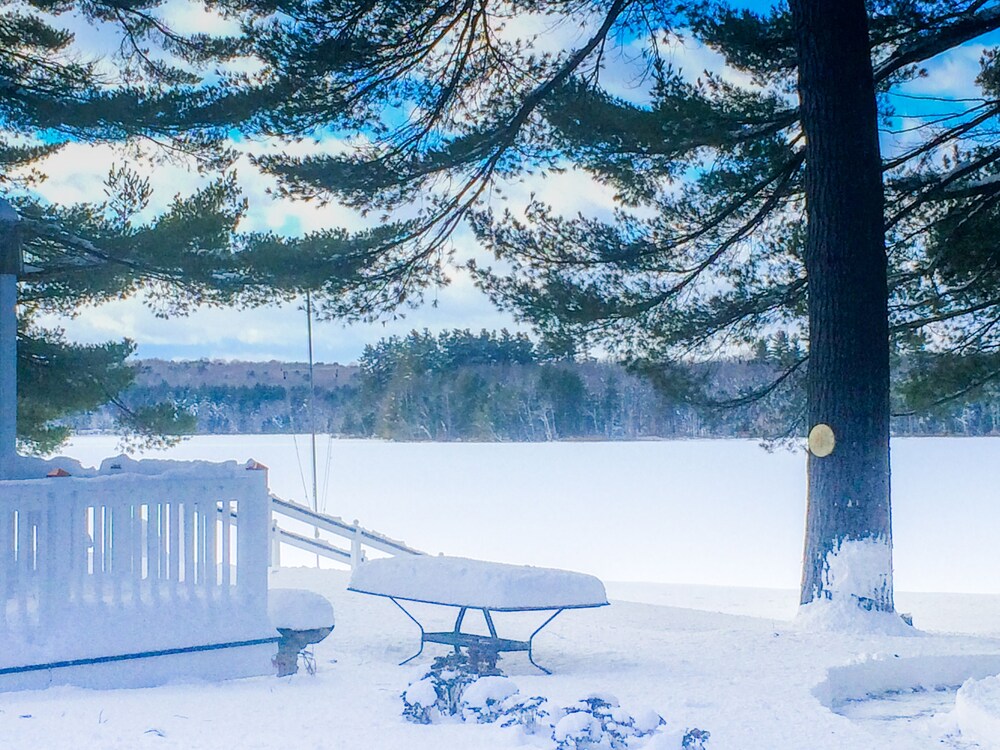 Wolf Cove Inn - photo 80
