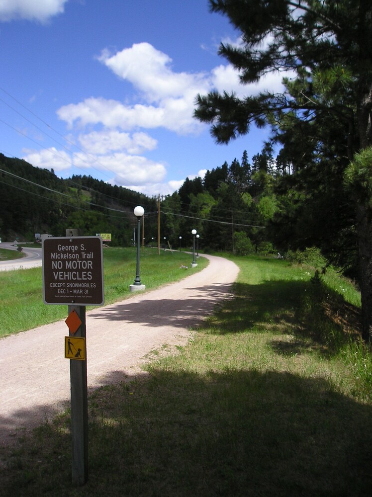 Black Hills Inn & Suites - photo 19