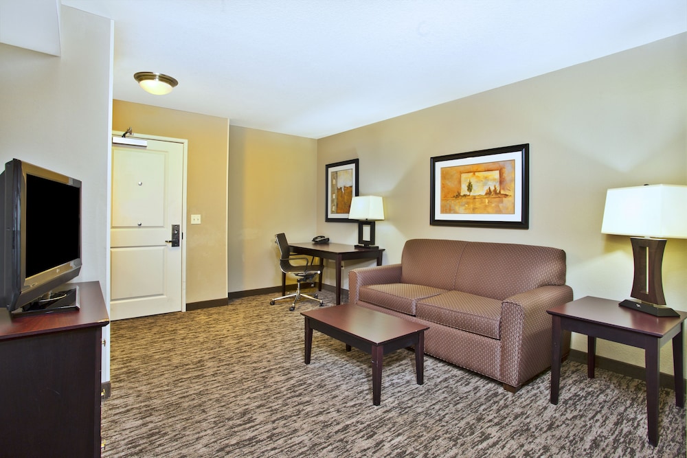 Holiday Inn & Suites Green Bay Stadium by IHG - photo 8