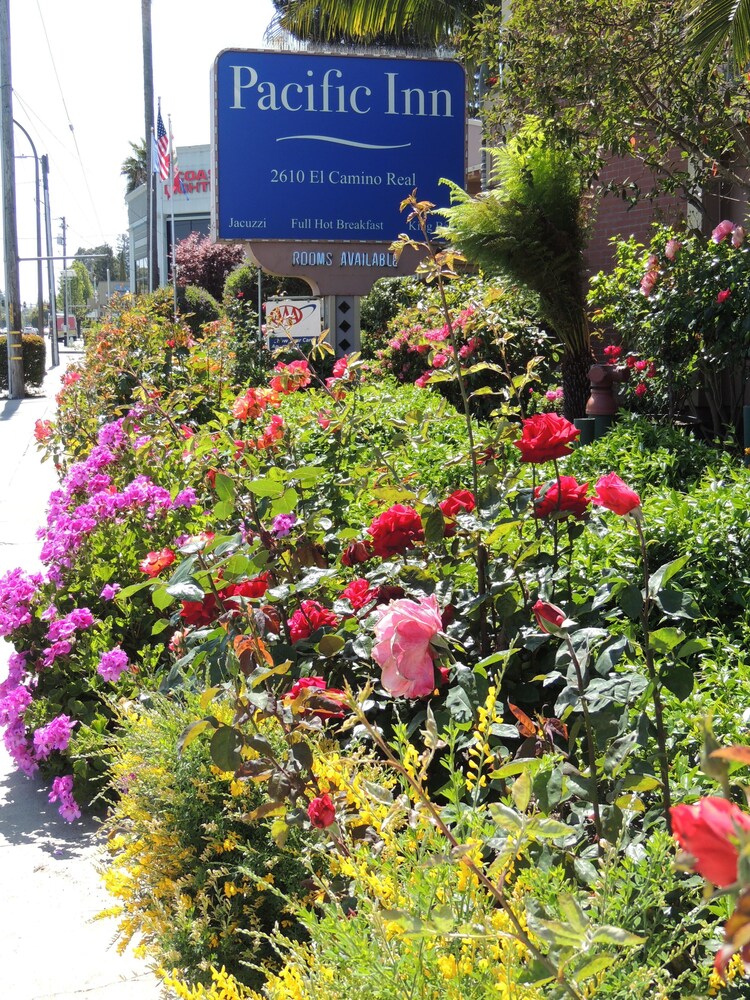 Pacific Inn of Redwood City - photo 87