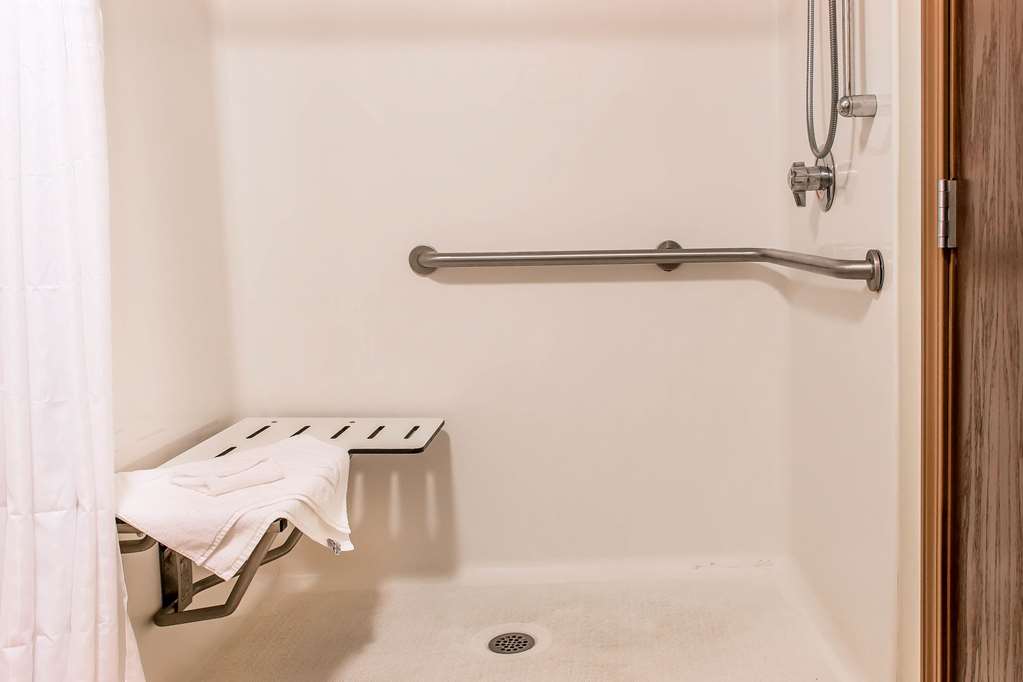 Comfort Suites Wixom Novi - photo 7