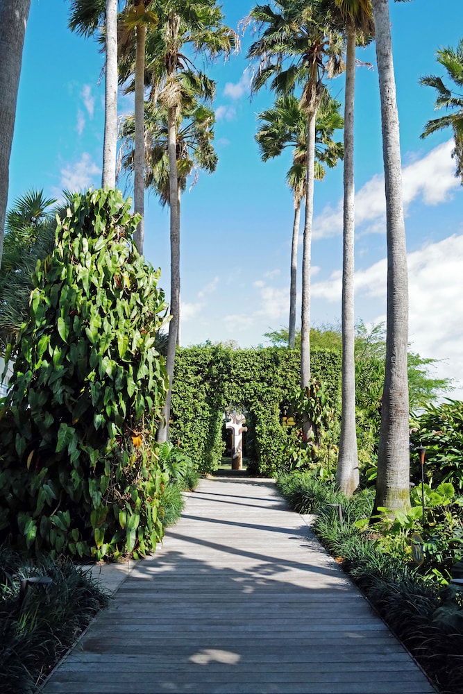 The Standard Spa Miami Beach - photo 41