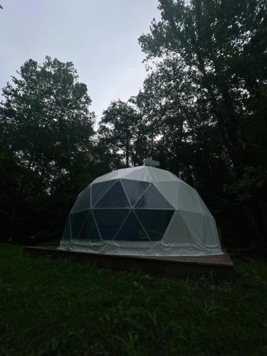 Harmony Tree Resorts - photo 41