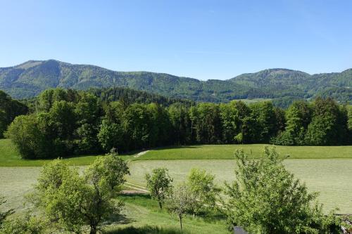 Privatvermieter Leitingerhof — hotel in Thalgau