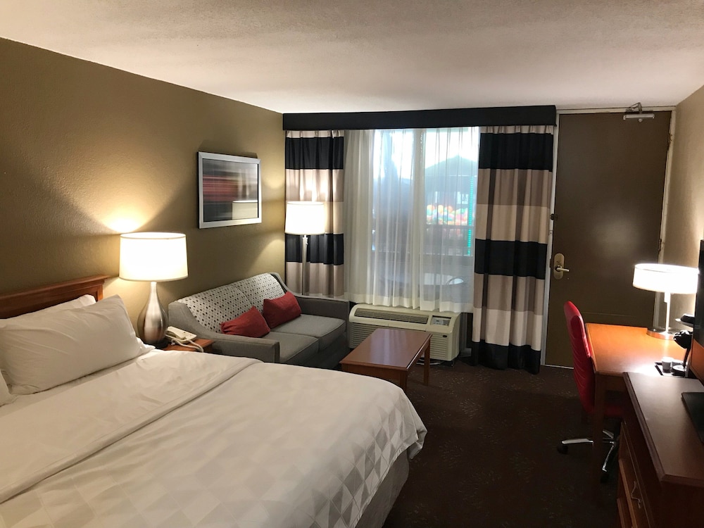 Holiday Inn Alexandria by IHG - photo 14