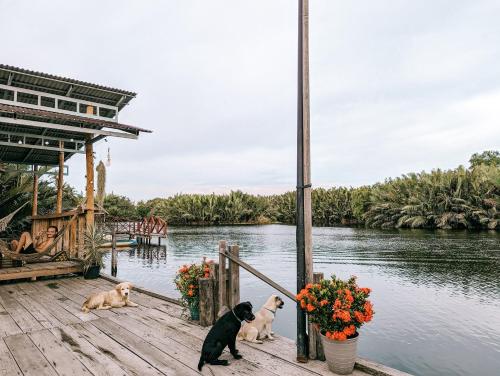 Funky Moon Kampot — 5-Star Luxury Hotel in Kampot, Cambodia