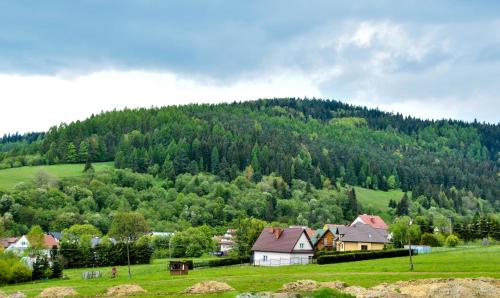 Apartament Pod Łanem — Tylicz — photo 2