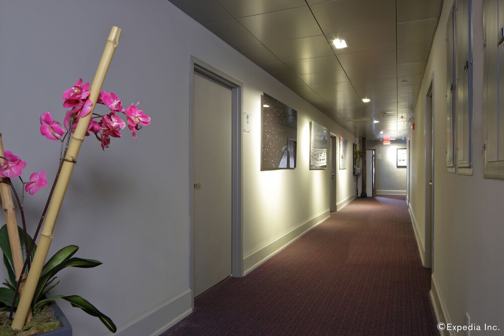 Ithaca of South Beach Hotel - photo 96