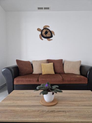 Beaux Souvenirs - carbon neutral hotel in Boujan-Sur-Libron