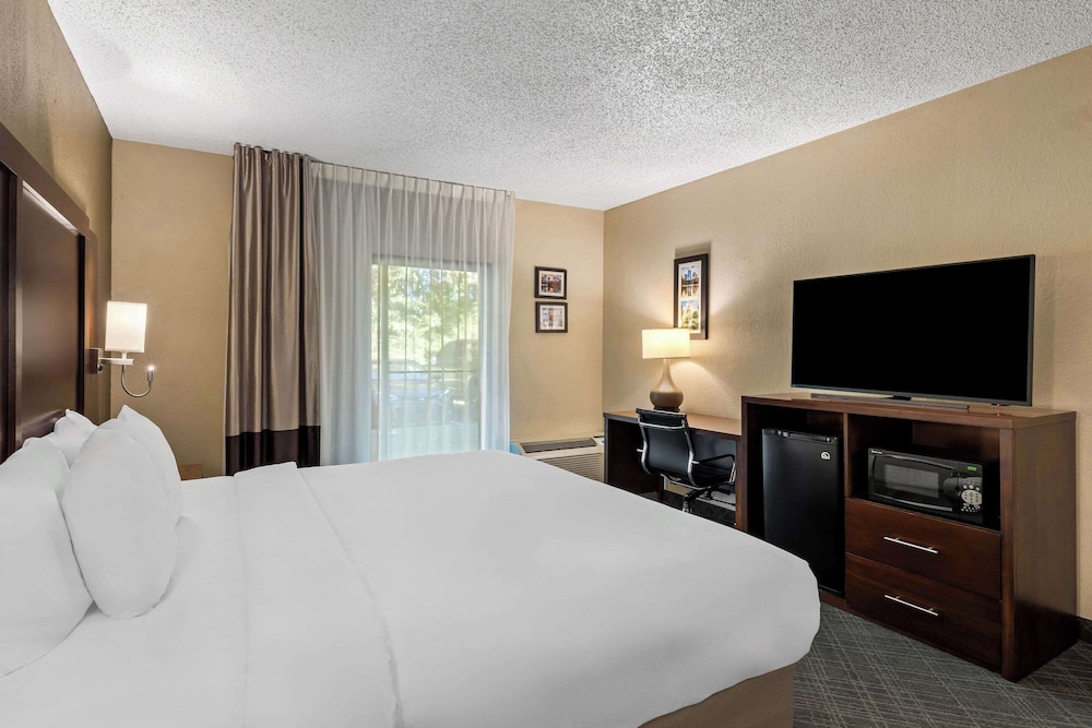 Comfort Inn Roswell Dunwoody - photo 9