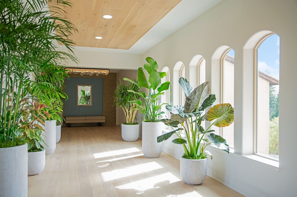 The Westin Sacramento Riverfront Hotel & Spa - photo 81