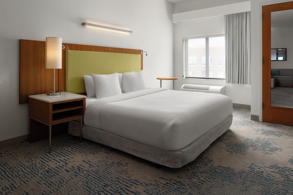 Springhill Suites by Marriott Charleston Mount Pleasant - photo 10