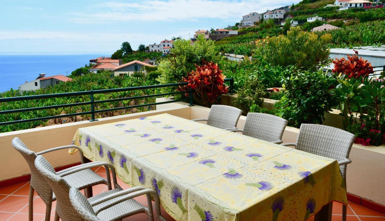 Jardim Do Arco Esmee — Calheta — photo 3
