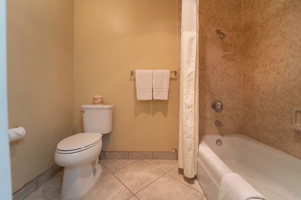 Royal Plaza Inn Indio - photo 51