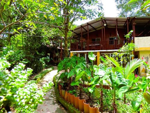 El susurro del agua exclusiva natural in Ibague, Colombia