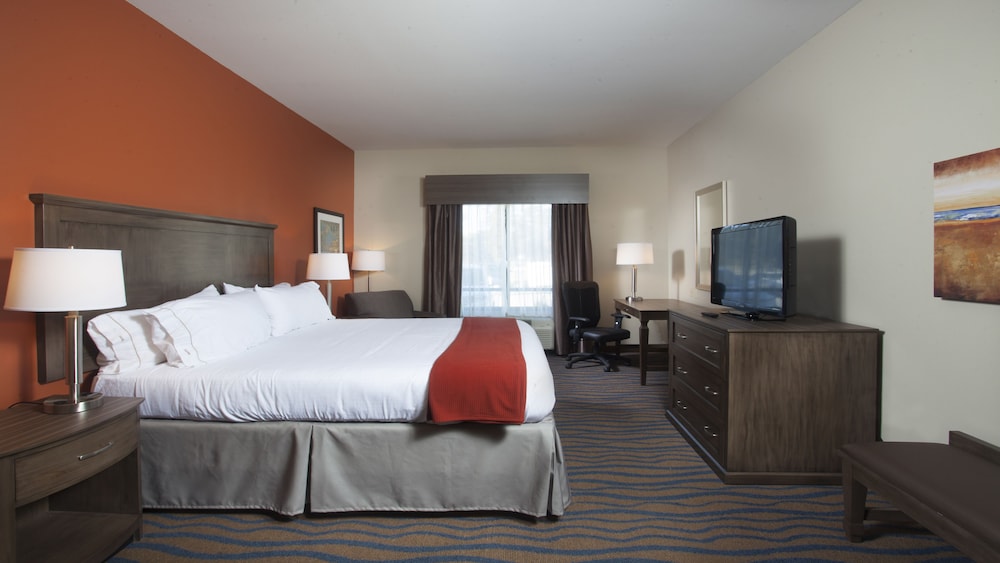Holiday Inn Express Hotel & Suites Morgan City Tiger Island by IHG - photo 4