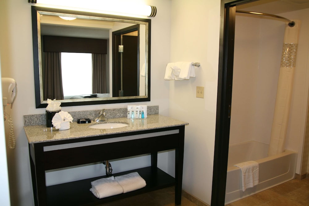 Hampton Inn & Suites Detroit Airport Romulus - photo 24