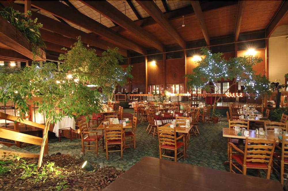 Fireside Inn & Suites West Lebanon - photo 16