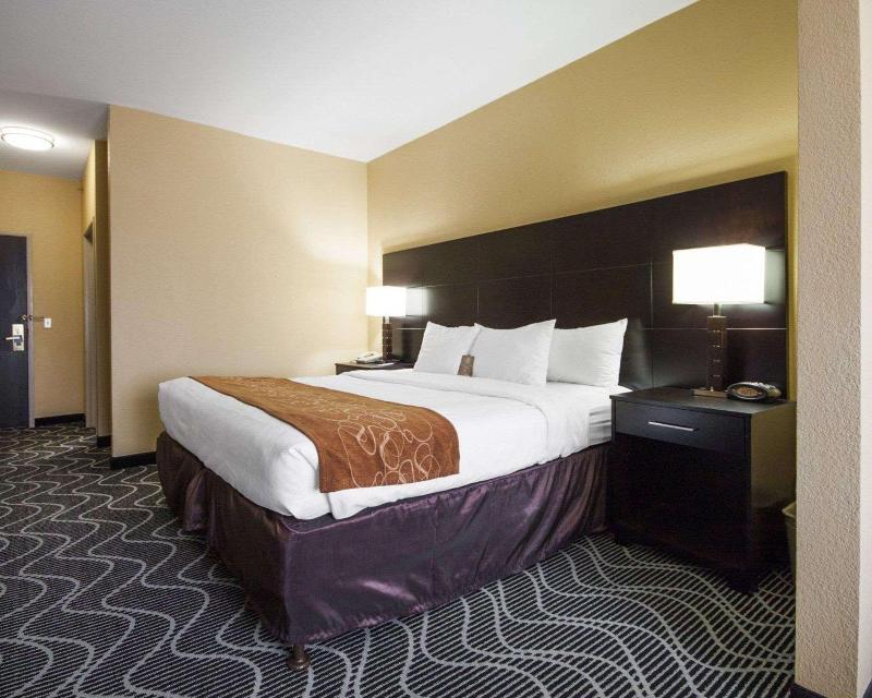 Comfort Suites Lake Ray Hubbard - photo 2