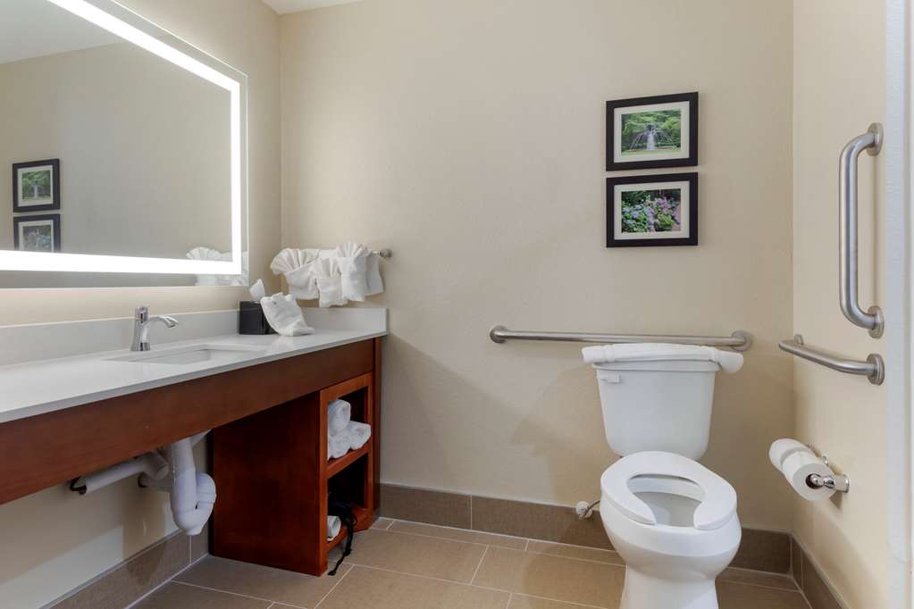 Comfort Suites West Monroe near Ike Hamilton Expo Center - photo 10