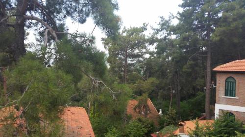 Edelweiss Hotel — Pelendri