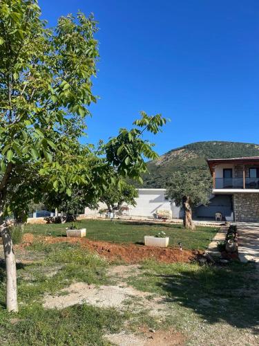 Ambelas Guest Rooms 6 in Himare, Albania