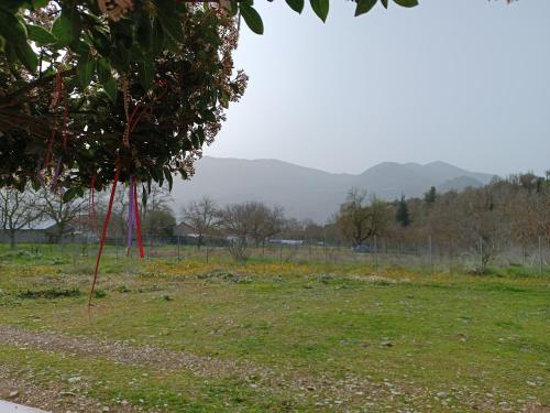 Erymanthos Country Home — Kalavryta — photo 3