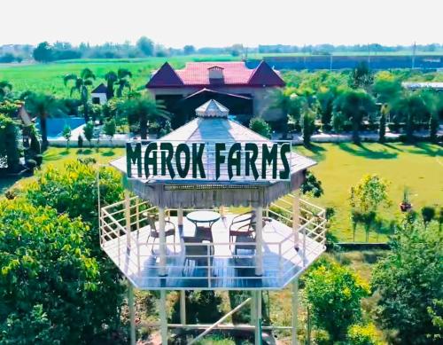 Marok Farm in Jalandhar, India