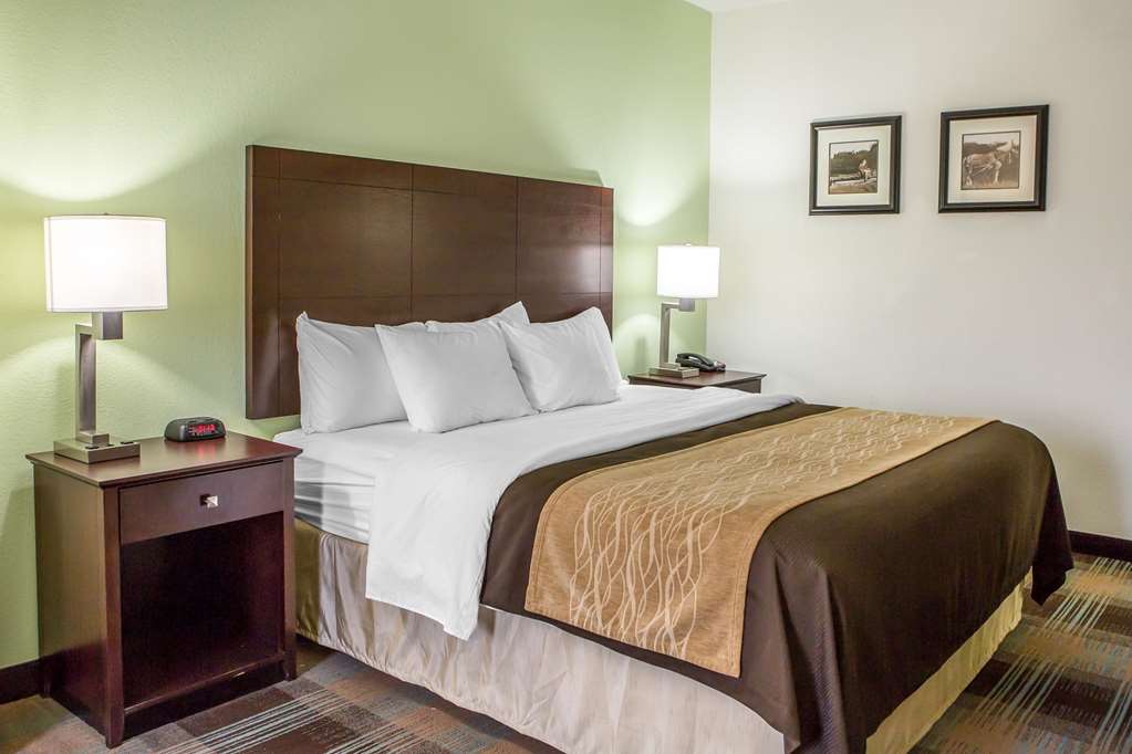 Comfort Inn Lexington South - photo 13