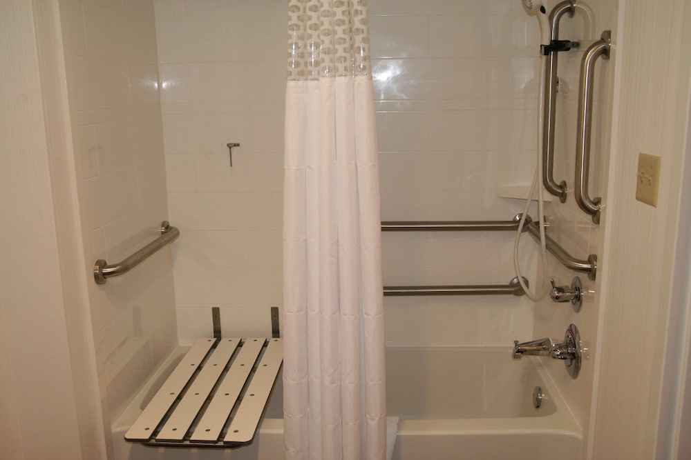 Hampton Inn Birch Run Frankenmuth - photo 18