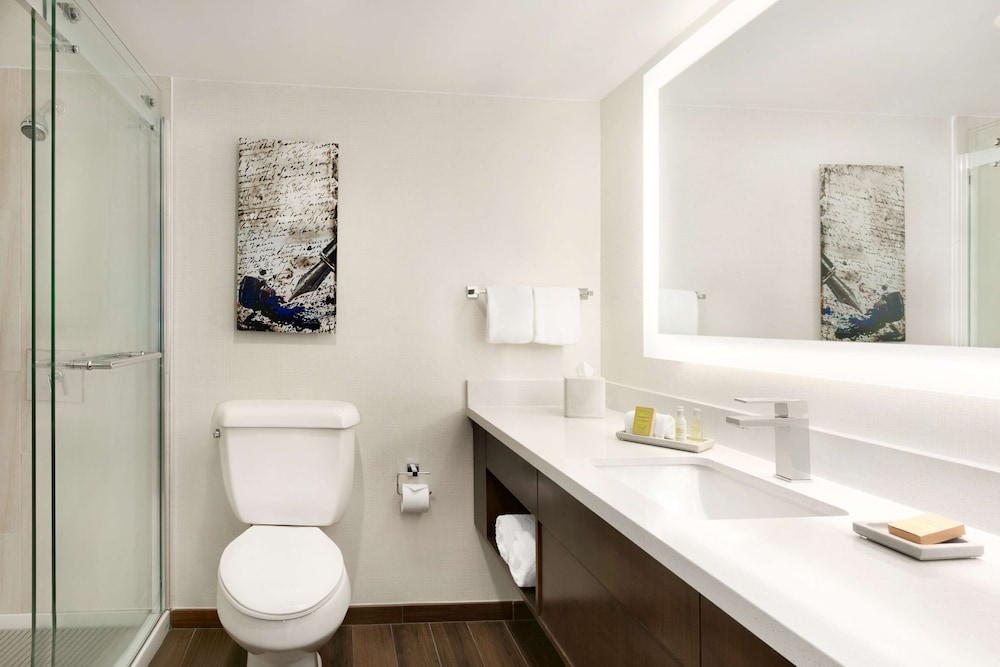 Doubletree by Hilton McLean Tysons - photo 37