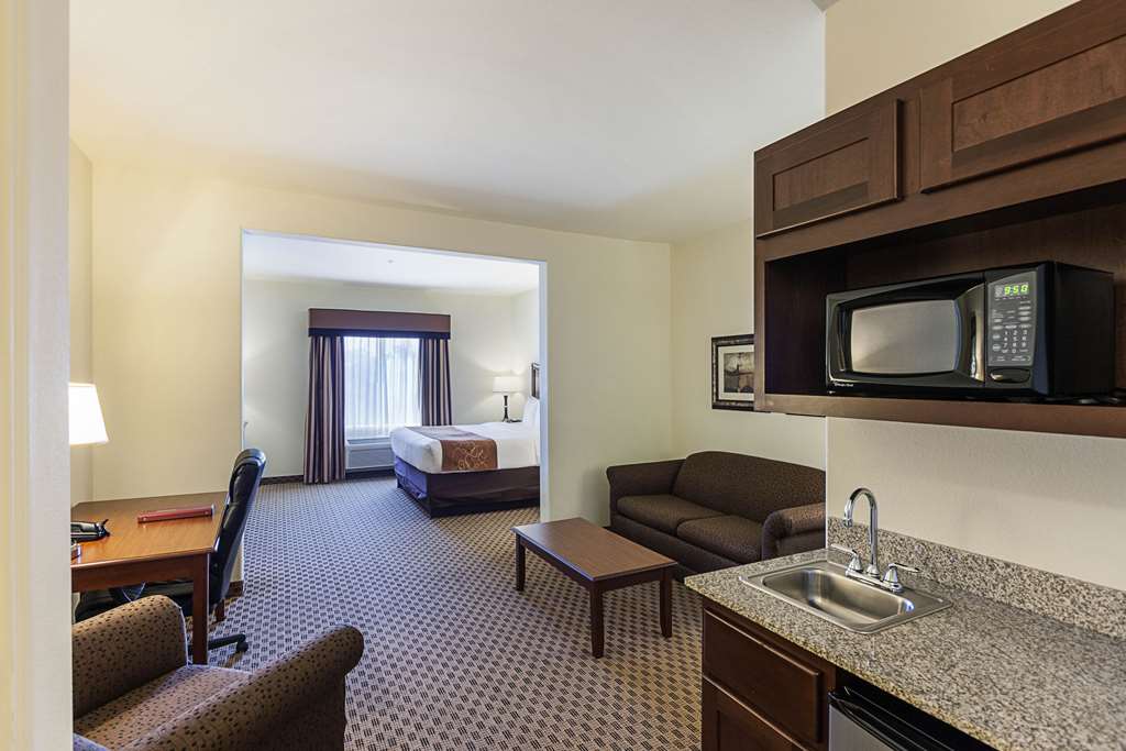 Comfort Suites Stone Oak - photo 14