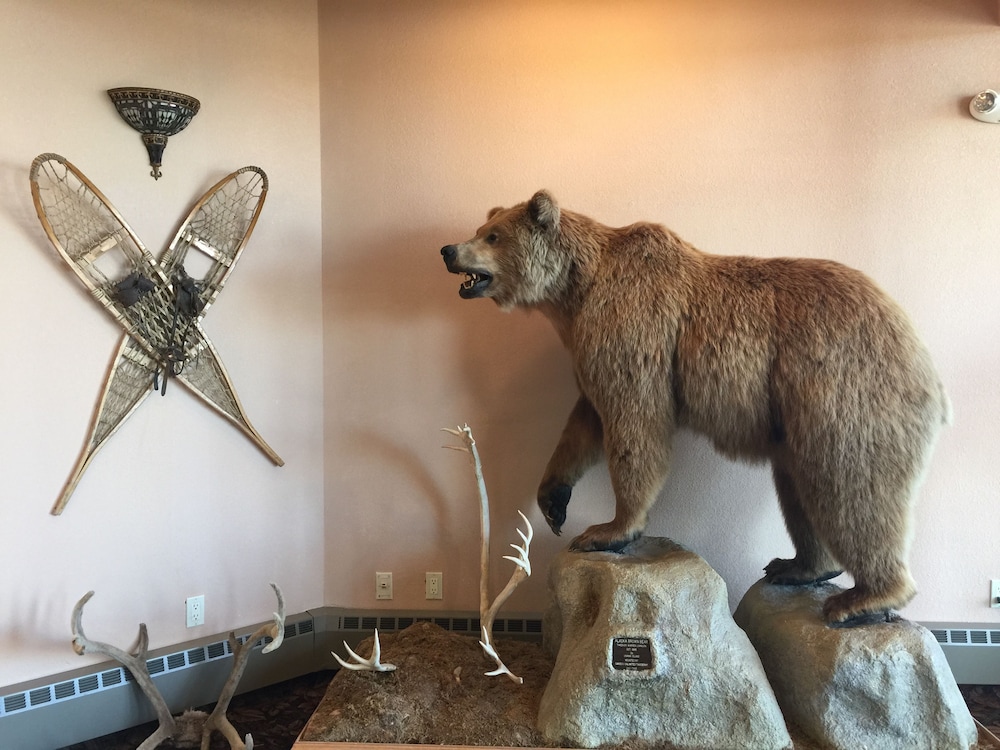 Kenai Airport Hotel - photo 3
