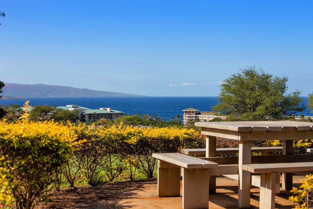 Wailea Ekolu #501 - photo 20