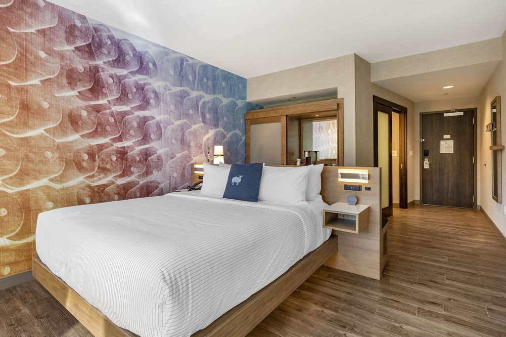 Cambria Hotel Manchester South Windsor - photo 23
