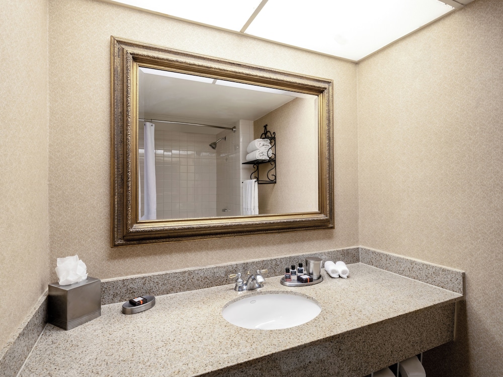 Austin Southpark Hotel - photo 23