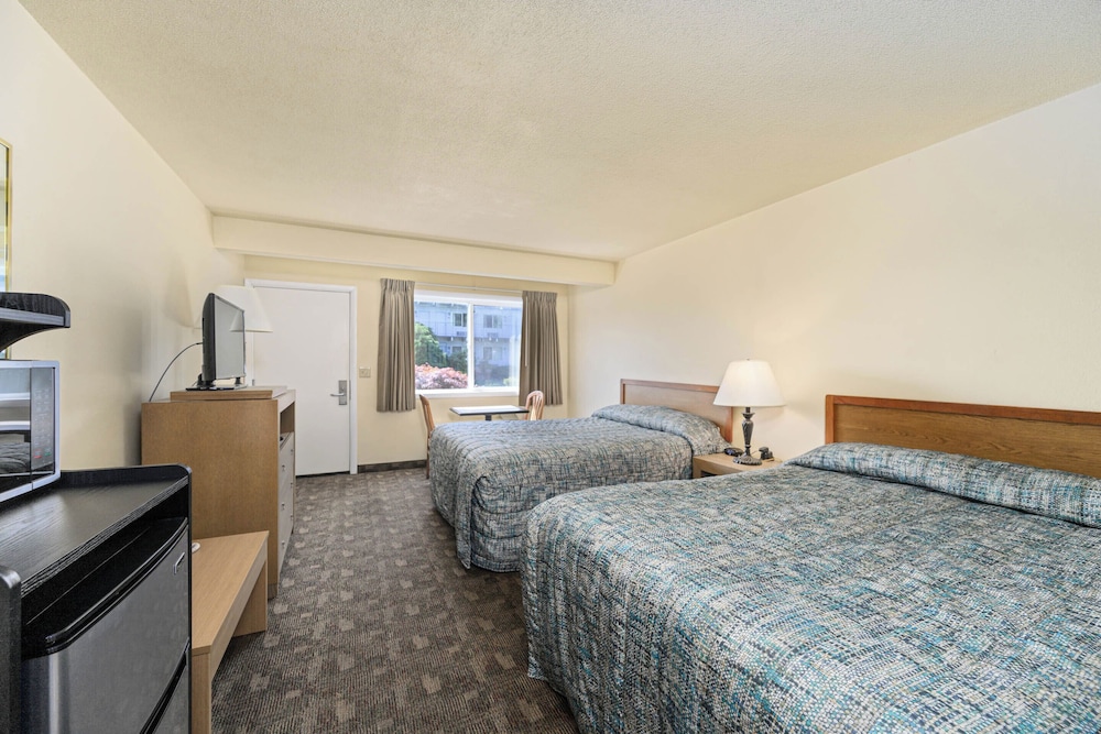 Cocusa Motel - photo 20