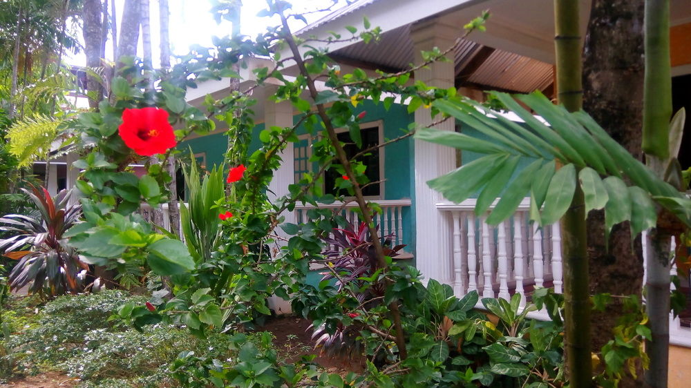 Roligon Resort - last minute hotel in Malay
