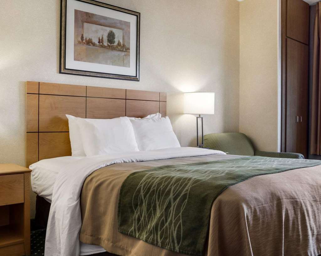 Comfort Inn Jamestown South - photo 6