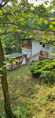 Šumska Kosmaj in Belgrade, Serbia