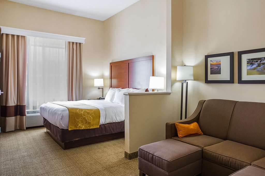 Comfort Suites Twinsburg - photo 37