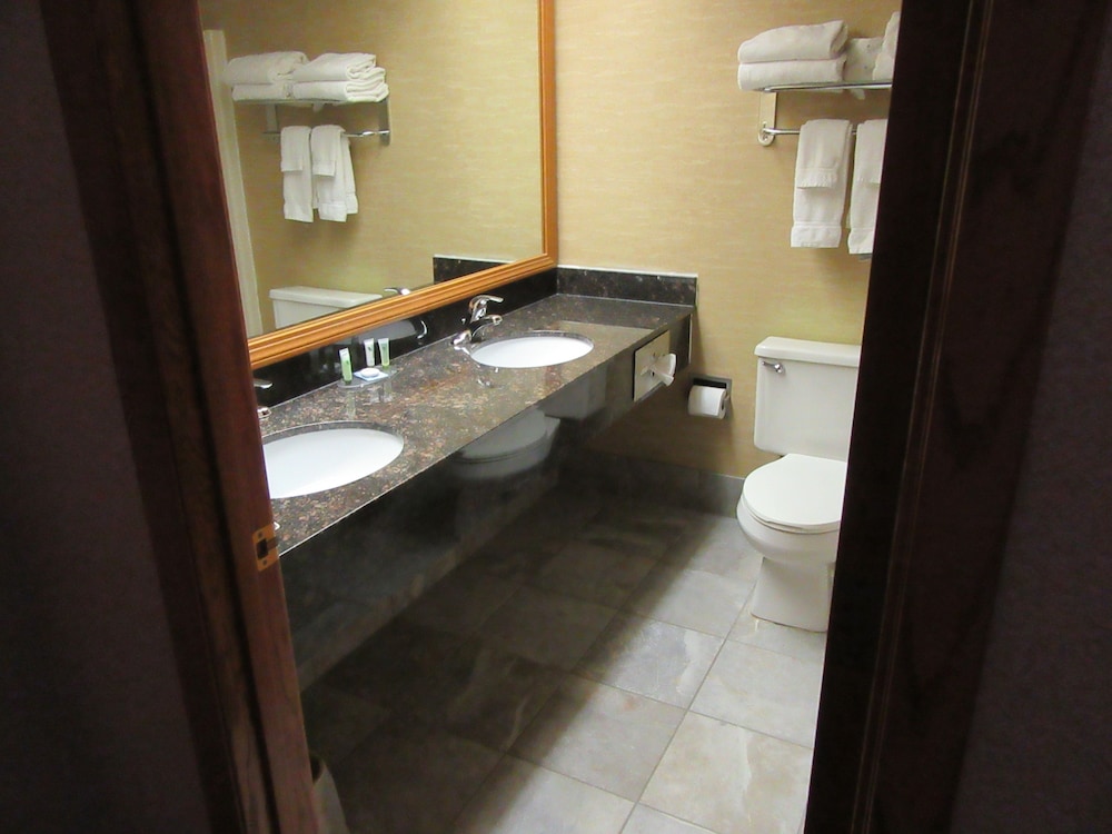 Express Suites Riverport Inn & Suites - photo 32