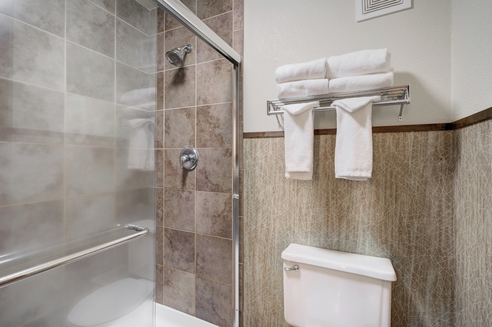 Holiday Inn West Yellowstone by IHG. - photo 103