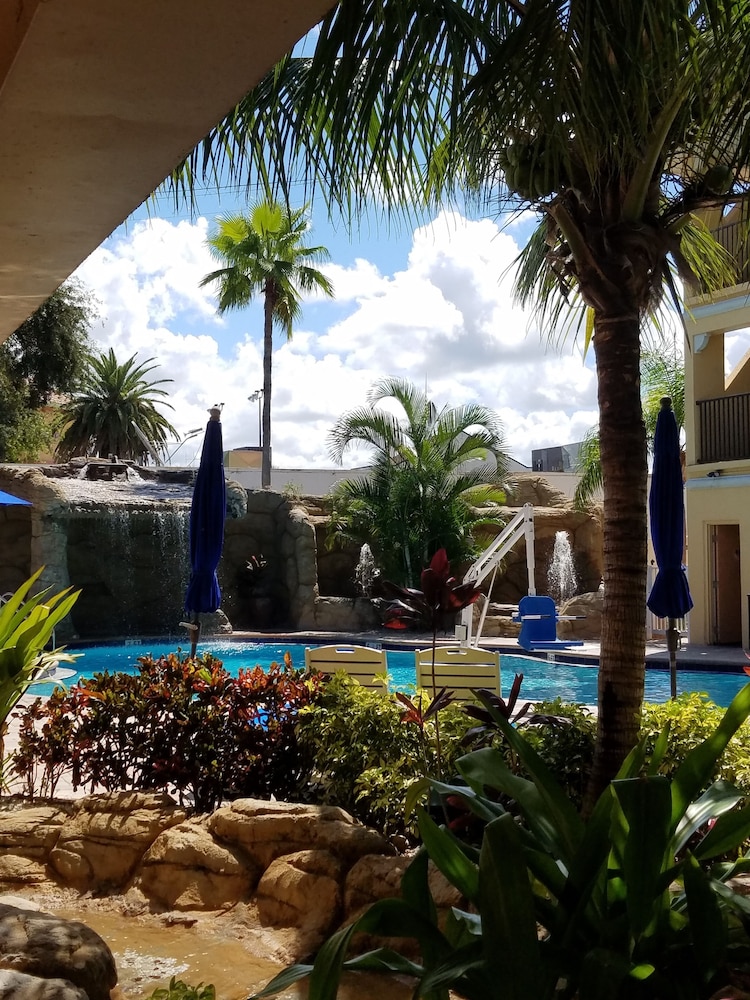 Coconut Cove All Suite Hotel - photo 16