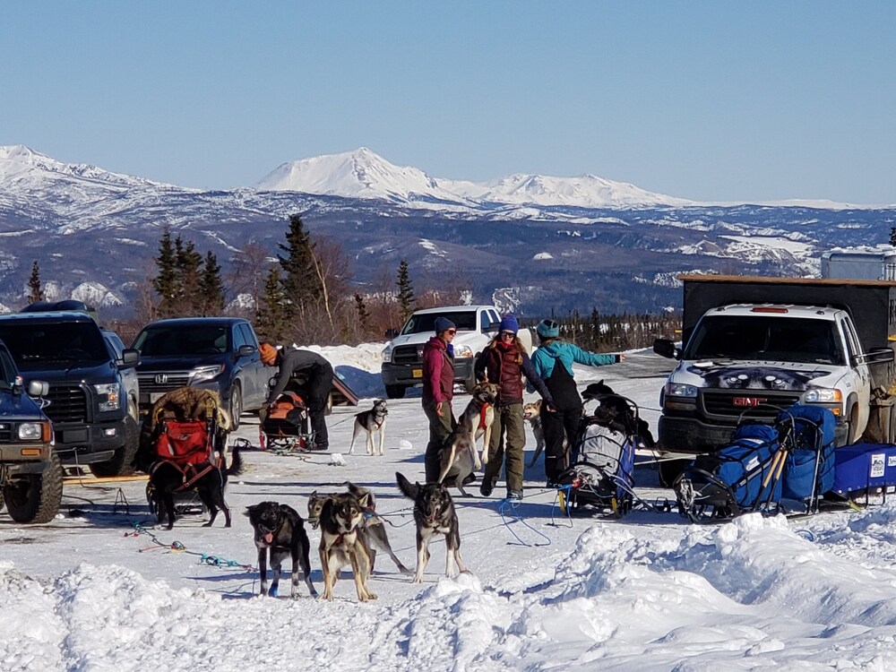 Denali Wild Stay - photo 67