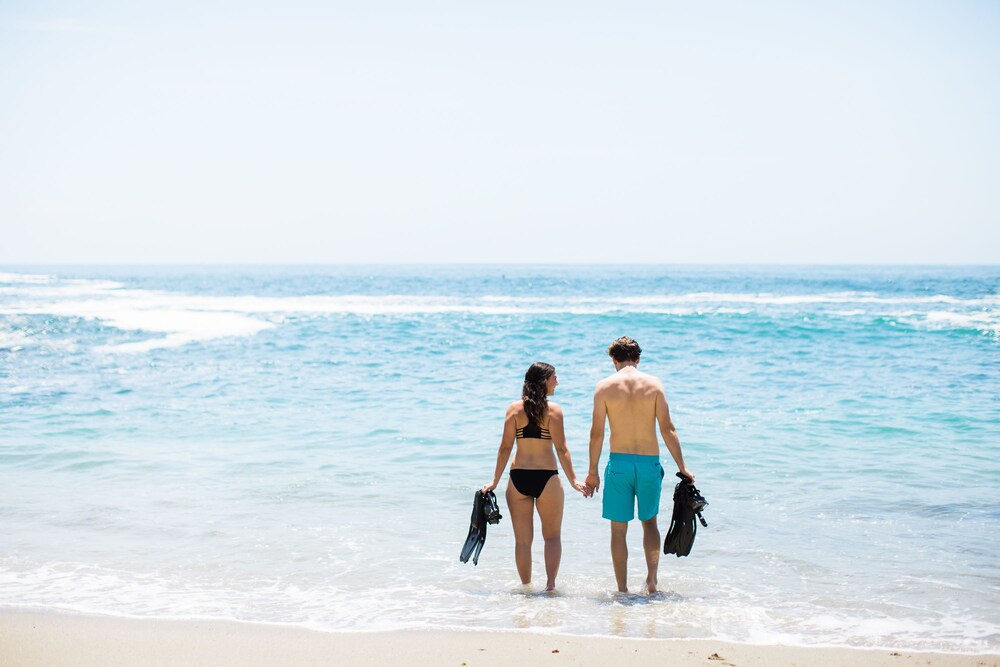Montage Laguna Beach - photo 83