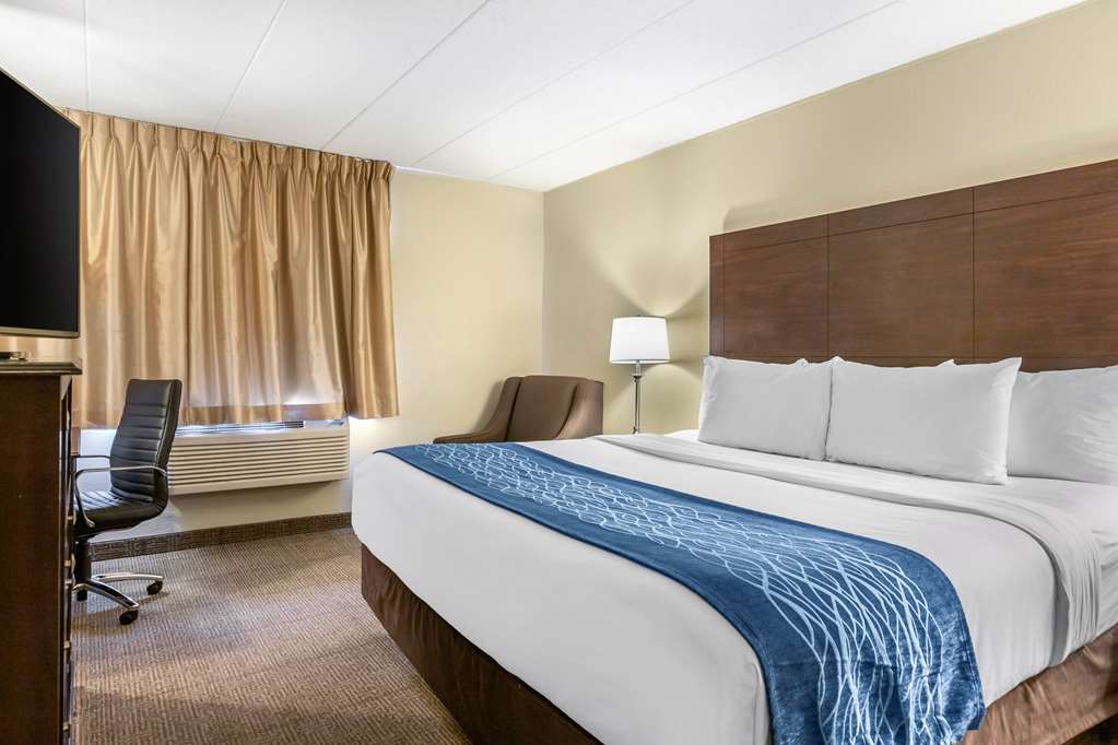Comfort Inn Grand Rapids Airport - photo 12