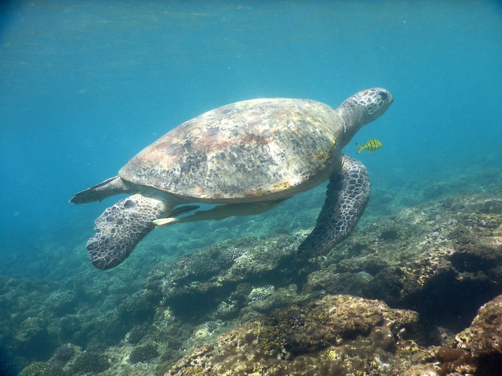 פעילויות וכושר