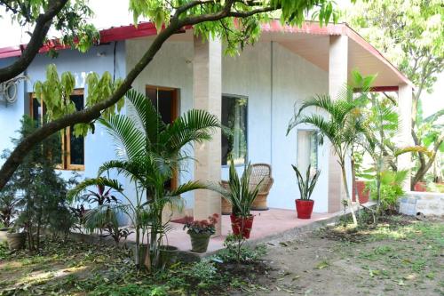 The TreePie Corbett in Kaladhungi, India