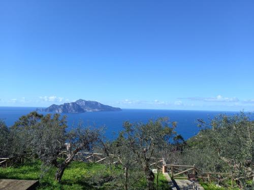 La finestra su Capri — 4-Star Luxury Hotel in Massa Lubrense, Italy